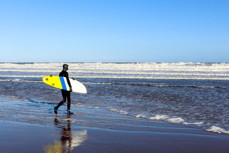 A surfer in a wetsuit enters the cold north sea, Scotland, ocean, surfboardの写真素材