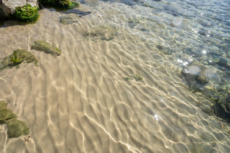 Surface of the sea in sunny weather