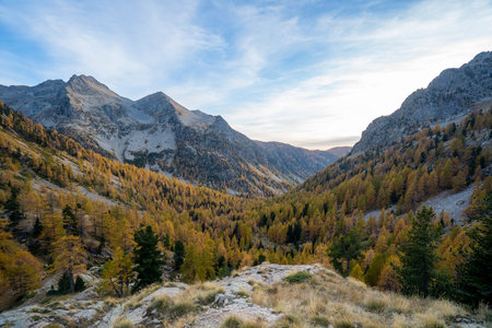 Valley in the Mercantourの写真素材