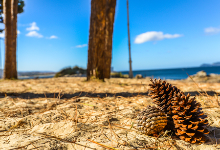 Autumn colors at Samil beach - Vigo - Galicia, Spainの写真素材