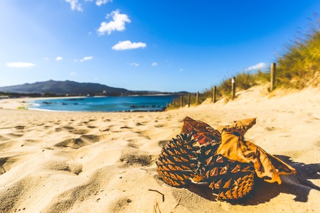 Autumn colors at Samil beach - Vigo - Galicia, Spainの写真素材