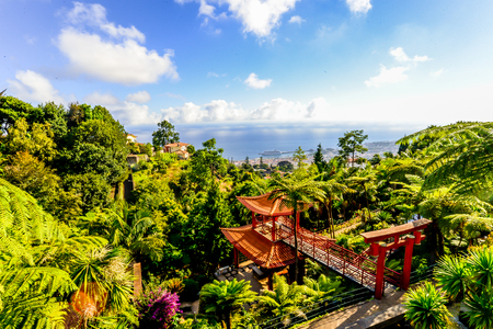 The japanese themed tropical garden outside of Funchal on the island of Maderia - Portugalのeditorial素材