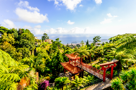 The japanese themed tropical garden outside of Funchal on the island of Maderia - Portugalのeditorial素材