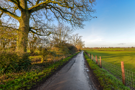 Near to the small village of woodend in the UKの写真素材