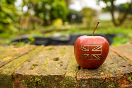An apple with a British union jack flag on in an English gardenの写真素材