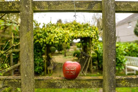An apple with a British union jack flag on in an English garden