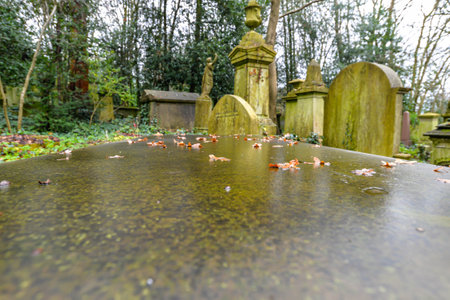 London/UK. 12.2.20. Graves surrounded by dense undergrowth in the atmospheric western part of...