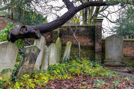 London/UK. 12.2.20. Graves surrounded by dense undergrowth in the atmospheric western part of...