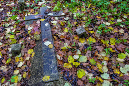 London/UK. 12.2.20. Grave stones surrounded by autumnal leaves in the atmospheric western part of Highgate Cemetery in north Londonのeditorial素材