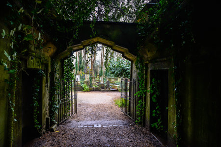 London/UK. 12.2.20. Graves surrounded by dense undergrowth in the atmospheric western part of Highgate Cemetery in north Londonのeditorial素材