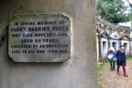 London/UK. 12.2.20. Graves surrounded by dense undergrowth in the atmospheric western part of Highgate Cemetery in north Londonのeditorial素材