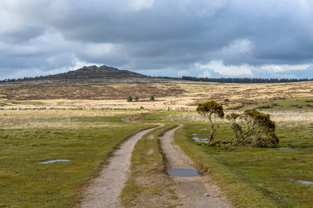 The wild barren landscape of the Dartmoor National Park in Devon, UKの写真素材