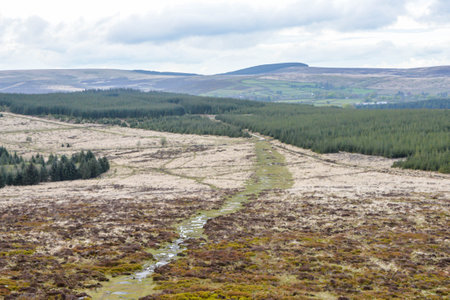 Aerial view of the Cairngorms National Park in Scotlandの写真素材