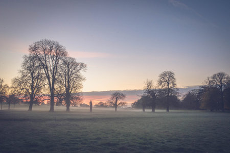 A misty sunrise over a meadow with trees in the foregroundの写真素材