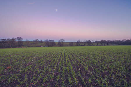 A wintery landscape in the United Kingdom at sunrise