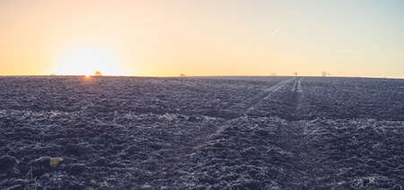A wintery landscape in the United Kingdom at sunrise