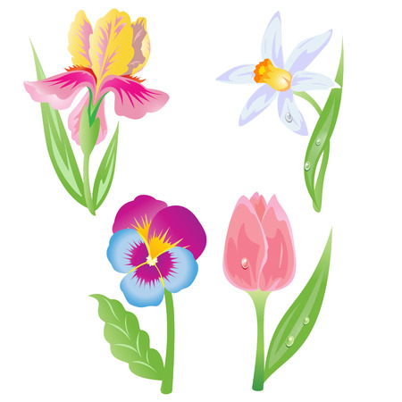 Garden flowers  iconのイラスト素材