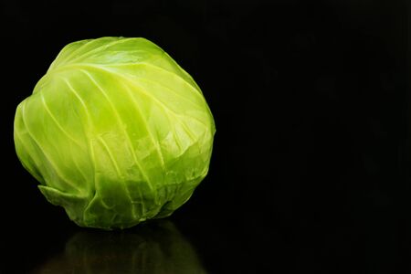 Cabbage on black background.Copy spaceの写真素材
