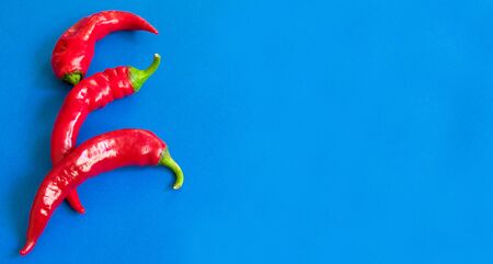 Red chili peppers on a blue background. Copy space.の写真素材