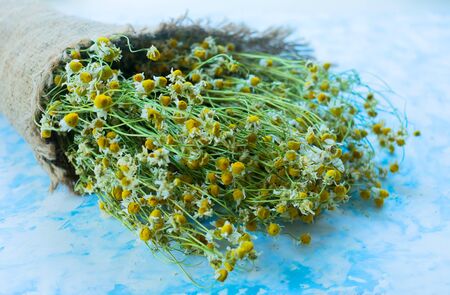 Dried medicinal chamomile. Close-up. The concept of healthy drinks.の写真素材