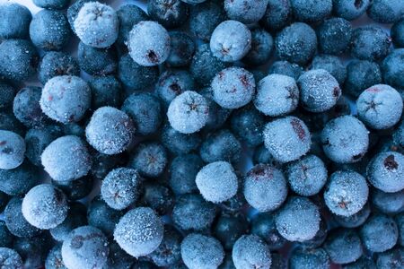 Background of frozen chokeberry berries. Berry antioxidant, chokeberry.の写真素材