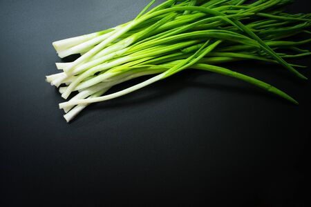Green onion isolated on black background. Copy space.の写真素材