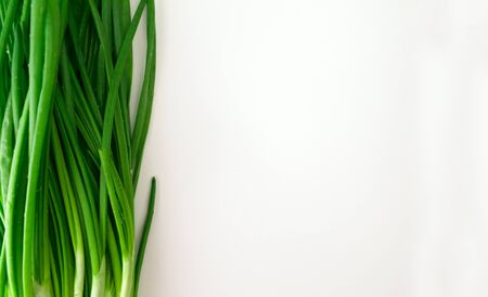 Chives on a white background. Copy space. Green onion.の写真素材