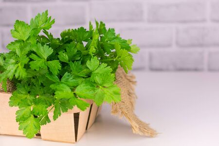 Fresh parsley in a basket on a white table. Copy space.の写真素材