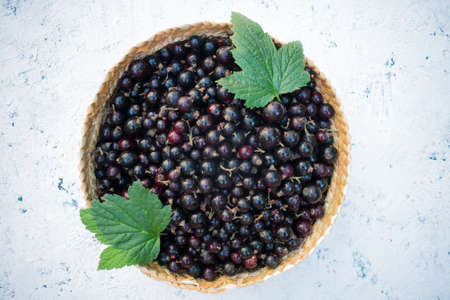 Blueberries in a basket plate on a white background. Top view.の写真素材