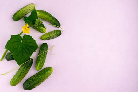 Cucumbers Vegetables Cucumber Leaves Flowers White Background Flat Lay Copy Spaceの写真素材