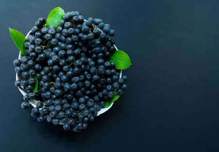 Ripe aronia berries on a black background. Healthy Black Rowan Berries. Copy Space.