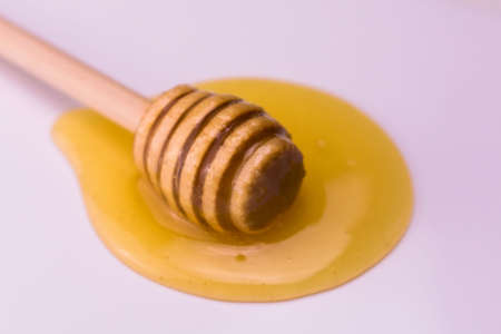 Wooden stick for honey lies in a drop of honey on a white background.の写真素材