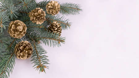 Christmas tree branch and decorated pine cones background on white background.Christmas...