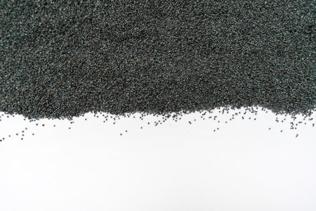 Poppy seeds on a white background. Copy space.の写真素材