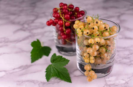 Red and white currants in a glass on a white marble background.の写真素材