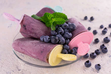 Homemade blueberry ice cream in a plate with fresh blueberries on a white background.の写真素材
