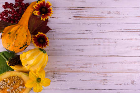 Autumn background for Thanksgiving day pumpkins, leaves flowers on a white wood background. Copy space.の写真素材
