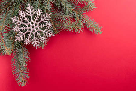 Christmas fir branches and decorative snowflake on a red background.の写真素材