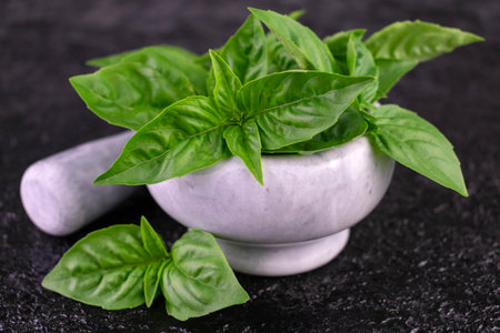 Fresh basil on a black background.