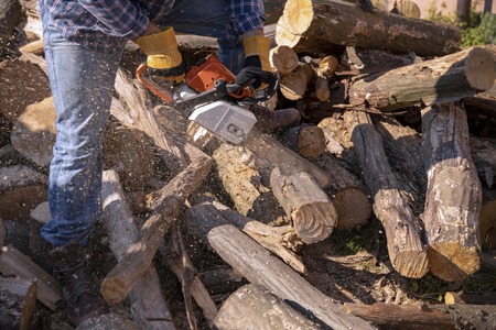 The worker works with a chainsaw. Cut the firewood ?hainsaw. Chainsaw close up. Woodcutter saws tree with chainsaw on sawmill. Chainsaw in action cutting wood. Man cutting wood with saw, dust and movements.の写真素材