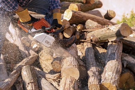 The worker works with a chainsaw. Cut the firewood ?hainsaw. Chainsaw close up. Woodcutter saws tree with chainsaw on sawmill. Chainsaw in action cutting wood. Man cutting wood with saw, dust and movements.の写真素材