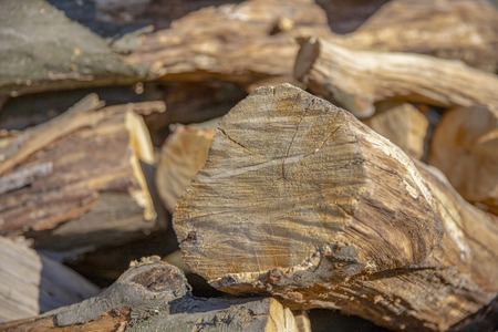 Cross section of the timber, firewood stack for the background. A lot of cutted logs. Stack of sawn logs. Natural wooden decor background. Pile of chopped fire wood prepared for winter.の写真素材