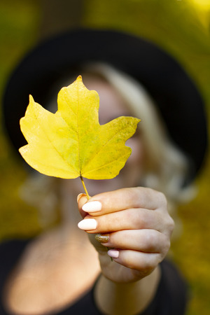 Women hold a maple leaf.Yellow maple leaves. The girl in the hat and the yellow leaves of the maple. Autumn and yellow leaves of maple.の写真素材