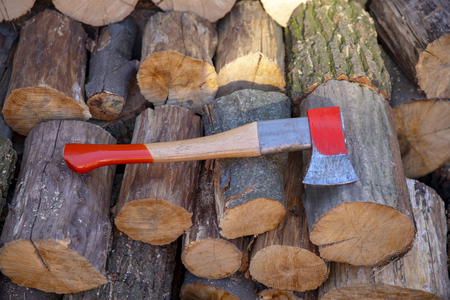 Ax in stump. Ax ready for cutting timber. Woodworking tool. Lumberjack ax in wood, chopping timber.の写真素材