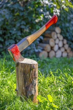 Ax in stump. Tool for work. Forester ax in the forest, chopping wood. Ax close up.の写真素材