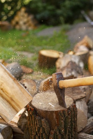 Ax in stump. Tool for work. Forester ax in the forest, chopping wood. Ax close up.の写真素材