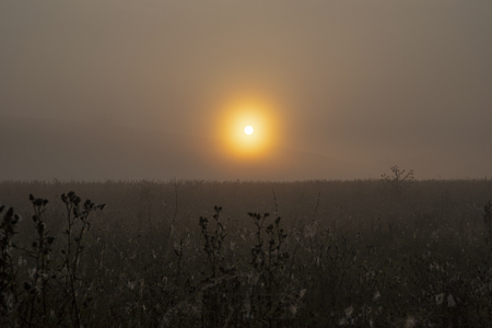 Foggy morning. Dawn, fog in the morning in the meadow. Fog on the meadow.の写真素材