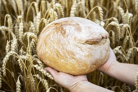 Basket with bread on the background of wheat ears. Basket with bread. Bakery products in a basket on a wheat field.の写真素材