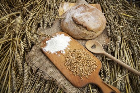 Basket with bread on the background of wheat ears. Basket with bread. Bakery products in a basket on a wheat field.の写真素材