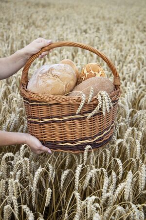 Basket with bread on the background of wheat ears. Basket with bread. Bakery products in a basket on a wheat field.の写真素材
